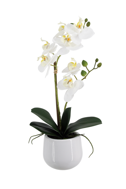 Künstliche Orchidee - Mian | 45 cm