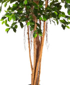 Künstlicher Ficus Retusa – Caelior | 180 cm