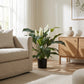 Spathiphyllum artificial - Big-Luna | 73 cm