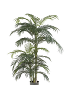 Hochwertige Kunstpalme auf transparentem Hintergrund mit echt wirkenden Kunstblättern in natürlicher Anordnung. Künstliche Areca Palme - Bobby hat die Farbe Natur und ist 130 cm hoch. | aplanta Kunstpflanzen