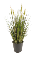 Hochwertiges Kunstgras auf transparentem Hintergrund mit echt wirkenden Kunstblättern in natürlicher Anordnung. Künstliches Gras - Theodor hat die Farbe Natur und ist 45 cm hoch. | aplanta Kunstpflanzen