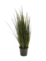 Hochwertiges Kunstgras auf transparentem Hintergrund mit echt wirkenden Kunstblättern in natürlicher Anordnung. Künstliches Gras - Hanno hat die Farbe Natur und ist 60 cm hoch. | aplanta Kunstpflanzen