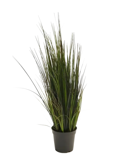 Hochwertiges Kunstgras auf transparentem Hintergrund mit echt wirkenden Kunstblättern in natürlicher Anordnung. Künstliches Gras - Hanno hat die Farbe Natur und ist 60 cm hoch. | aplanta Kunstpflanzen