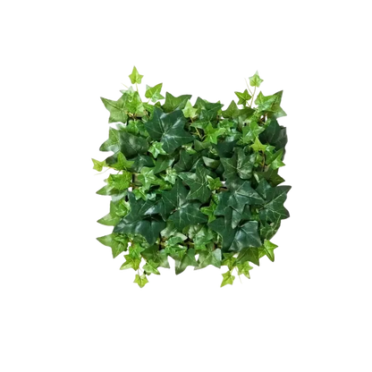 Kunstefeu Pflanzenwand aus Kunstpflanzen auf Transparentem hintergrund, 30x30 cm, farbe natur