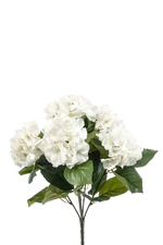 Hochwertige Hortensie künstlich auf transparentem Hintergrund mit echt wirkenden Kunstblättern in natürlicher Anordnung. Künstliche Hortensie - Biggi hat die Farbe Natur und ist 40 cm hoch. | aplanta Kunstpflanzen