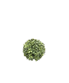 Hochwertige Kunstpflanze | Künstlicher Buchsbaum -Gernod | 15 cm von 🌱aplanta