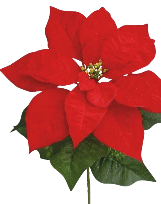 Künstliche Poinsettia - Basir | 50 cm