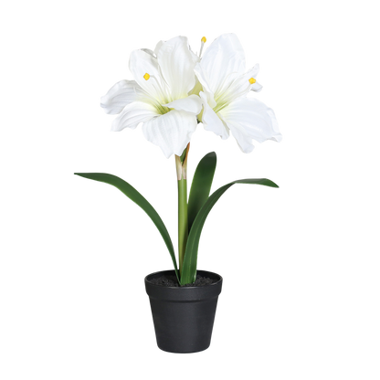 Künstliche Amaryllis – Elvina | 43 cm Weiß