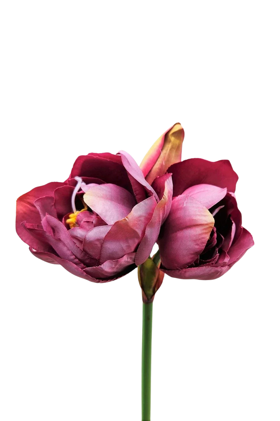 Künstliche Amaryllis - Taron | 80 cm