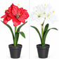 Künstliche Amaryllis – Elvina | 43 cm Weiß