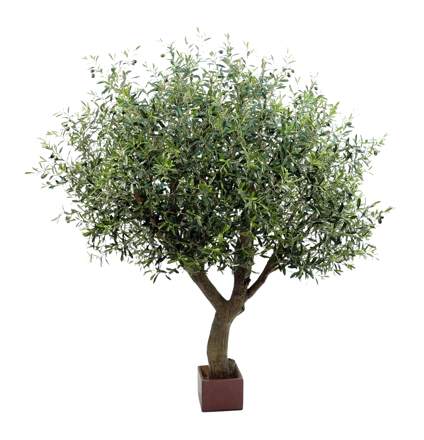 Künstlicher Olivenbaum - Mattis | 210 cm