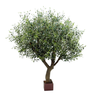 Künstlicher Olivenbaum - Mattis | 210 cm