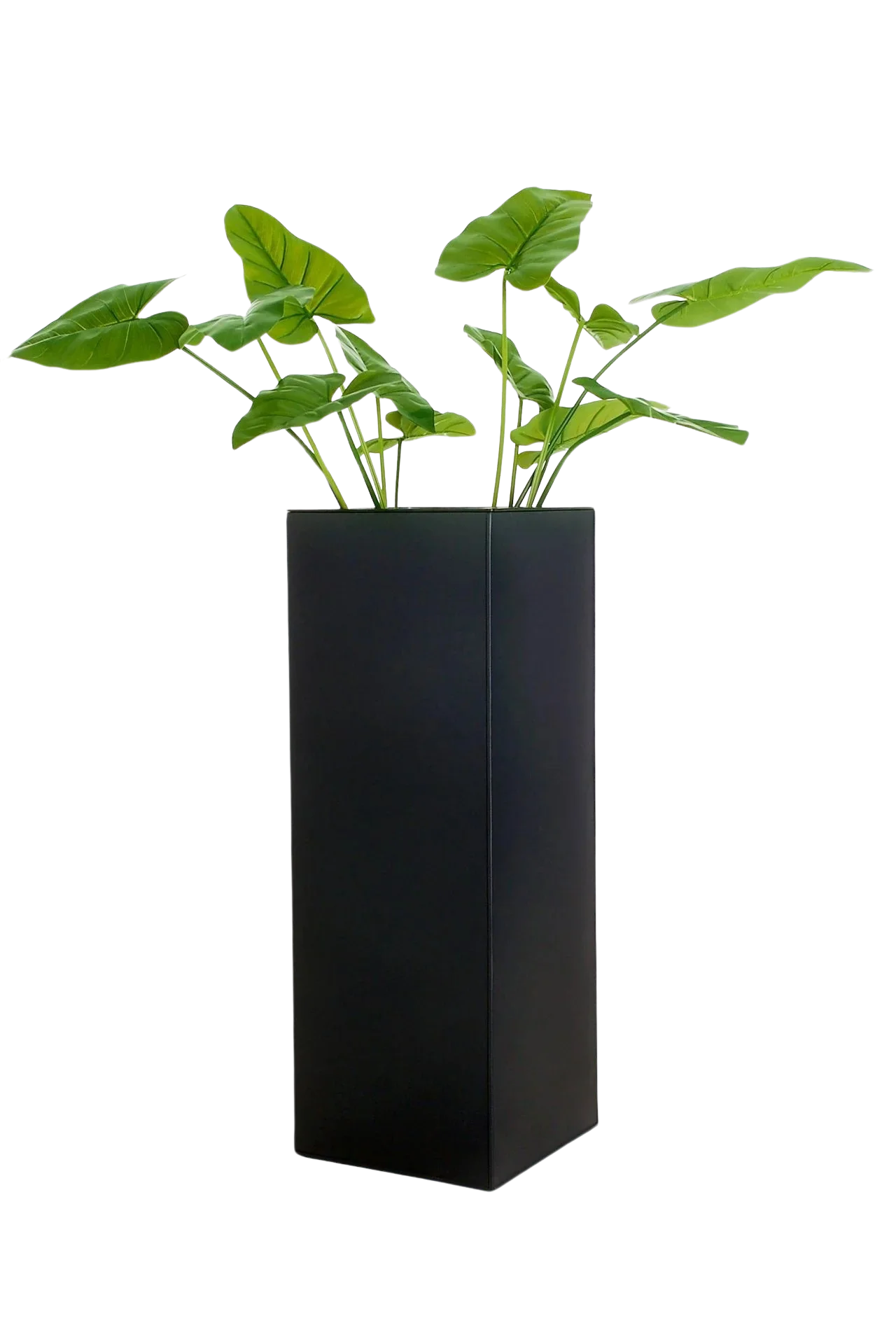 Plantador - Enisa | 40x40x100 cm, antracite