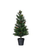 Künstlicher Tannenbaum - Caleb auf transparentem Hintergrund mit echt wirkenden Kunstblättern in natürlicher Anordnung. Künstlicher Tannenbaum - Caleb hat die Farbe Natur und ist 47 cm hoch. | aplanta Kunstpflanzen
