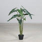 Künstliche Alocasia - Marco, 100 cm, Kunstpflanze von aplanta, in Grün, für drinnen