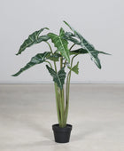 Künstliche Alocasia - Marco | 100 cm