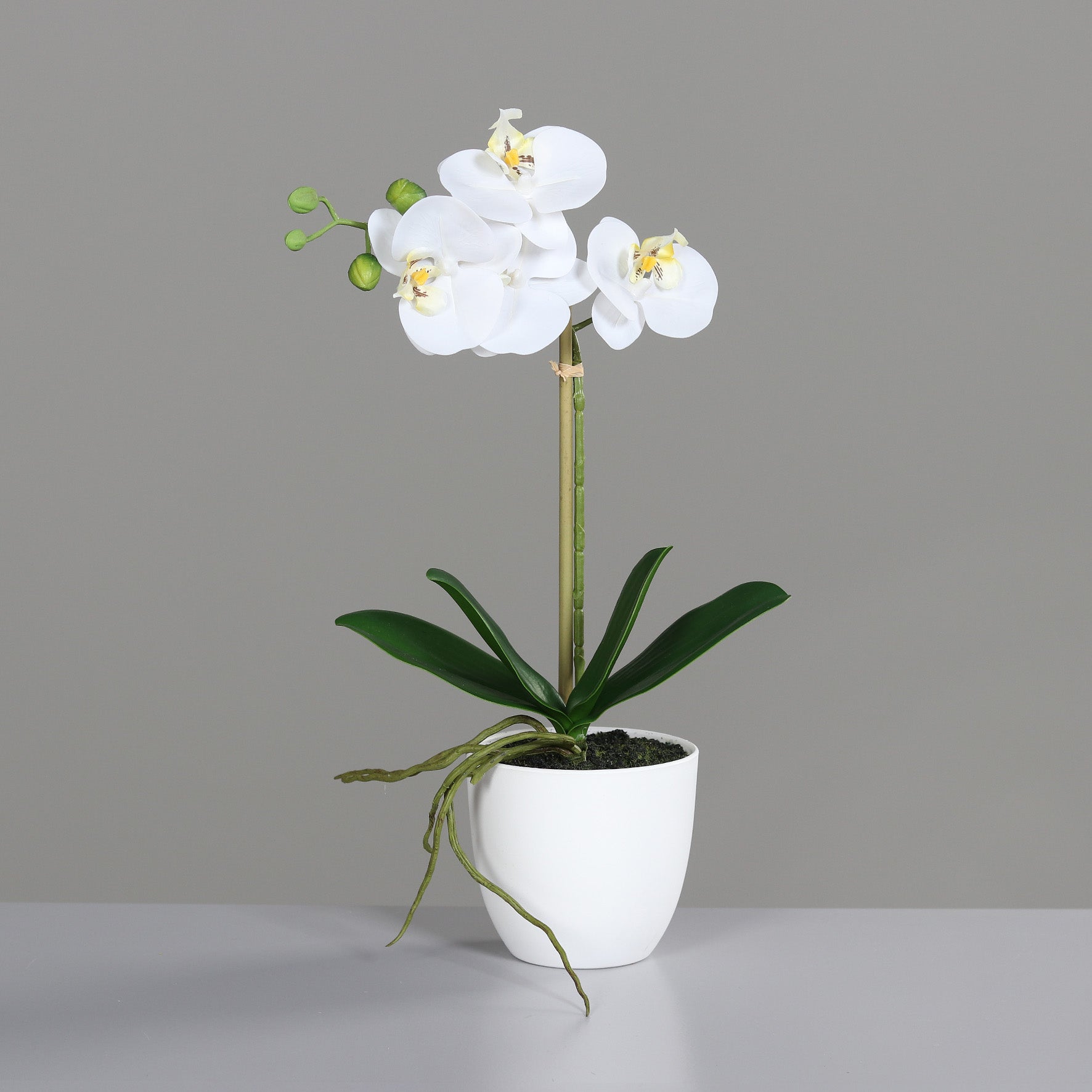 Künstliche Orchidee - Nori | 40 cm