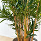 Künstlicher Bambus deluxe - Marleen, 125 cm, Kunstbaum von aplanta, mit Echtholzstamm, in Natur, für drinnen