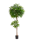 Künstliche Glückskastanie - Owen auf transparentem Hintergrund mit echt wirkenden Kunstblättern in natürlicher Anordnung. Künstliche Glückskastanie - Owen hat die Farbe Grün und ist 150 cm hoch. | aplanta Kunstpflanzen