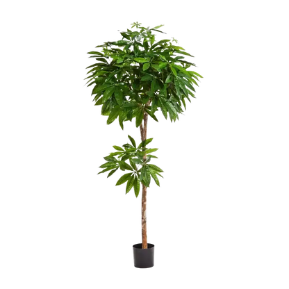 Künstliche Glückskastanie - Owen, 180 cm, Kunstbaum von aplanta, feuerhemmend, 180 cm feuerhemmend, in Grün, für drinnen