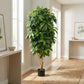 Schefflera artificial - Ove | 172 cm