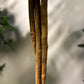 Künstlicher Kamelienbaum - Pina, 130 cm, Kunstbaum von aplanta, für drinnen