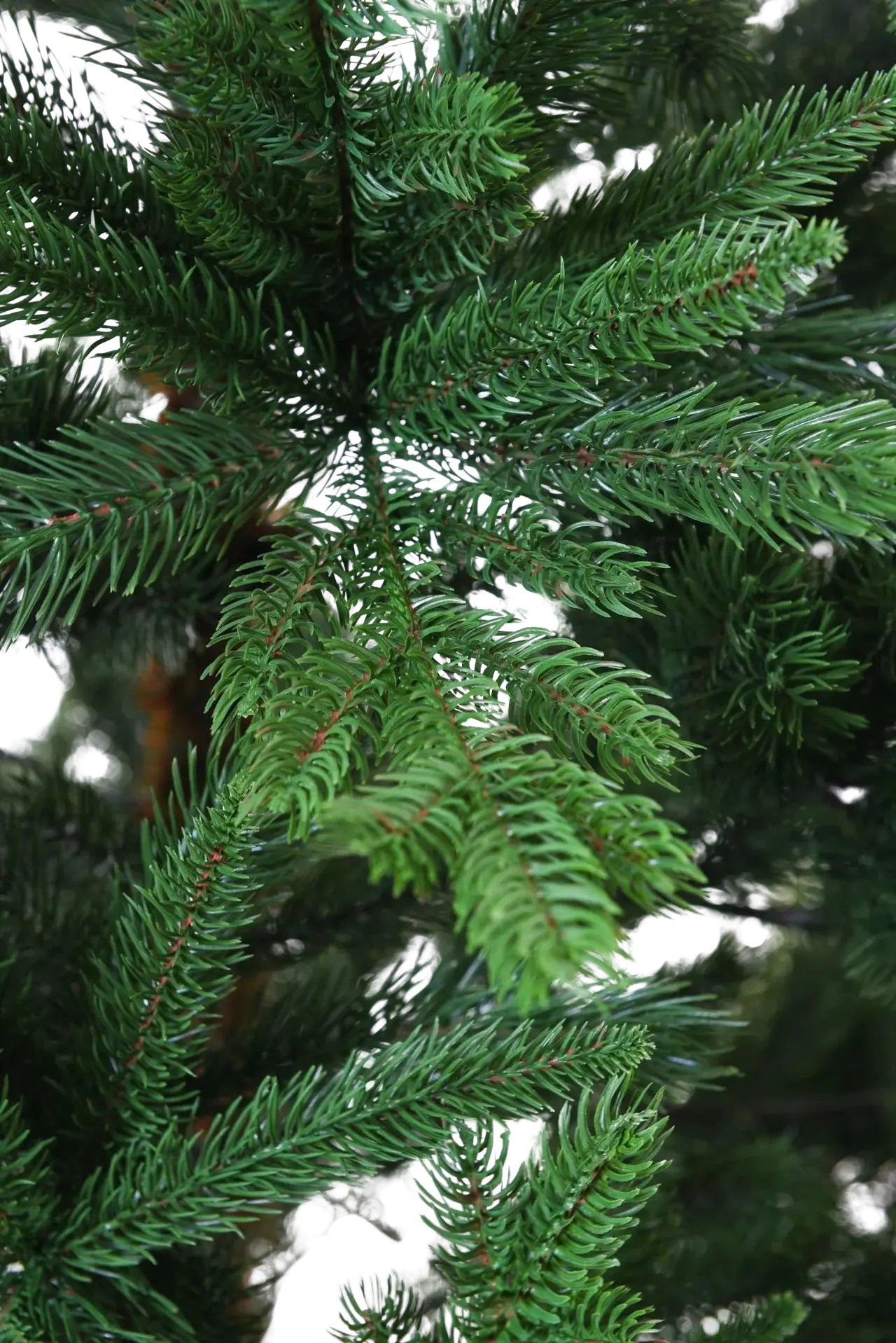 Árvore de Natal artificial - Lucian | 120 cm