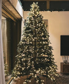 Árvore de Natal artificial - David | 300 cm, com luzes LED