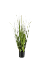 Hochwertiges Kunstgras auf transparentem Hintergrund mit echt wirkenden Kunstblättern in natürlicher Anordnung. Künstlicher Fuchsschwanz - Hennes hat die Farbe Grün und ist 90 cm hoch. | aplanta Kunstpflanzen