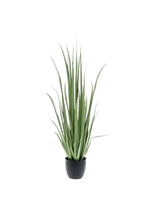 Hochwertiges Kunstgras auf transparentem Hintergrund mit echt wirkenden Kunstblättern in natürlicher Anordnung. Künstliches Yucca Gras - Iva hat die Farbe Grün und ist 120 cm hoch. | aplanta Kunstpflanzen