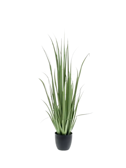 Hochwertiges Kunstgras auf transparentem Hintergrund mit echt wirkenden Kunstblättern in natürlicher Anordnung. Künstliches Yucca Gras - Iva hat die Farbe Grün und ist 120 cm hoch. | aplanta Kunstpflanzen