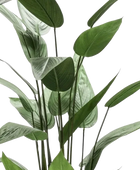 Künstliche Helikonie – Azariel | 140 cm