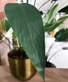 Künstliche Helikonie – Azariel | 160 cm