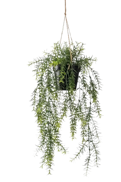 Künstlicher Hänge-Zierspargel - Kilian, 50 cm, Kunstpflanze von aplanta, inkl. Dekotopf, im schwarzen Topf, in Natur
