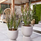 Künstliches Gras - Matilda, 90 cm, Kunstpflanze von aplanta, UV-beständig, im schwarzen Topf, in Natur, für draußen