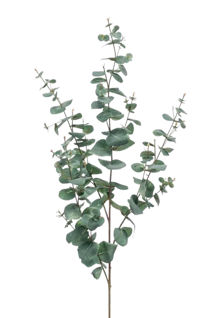 Künstlicher Eukalyptus Zweig Coa, 72 cm, Kunstbaum von aplanta, feuerhemmend, Steckpflanze, in Grün, für drinnen