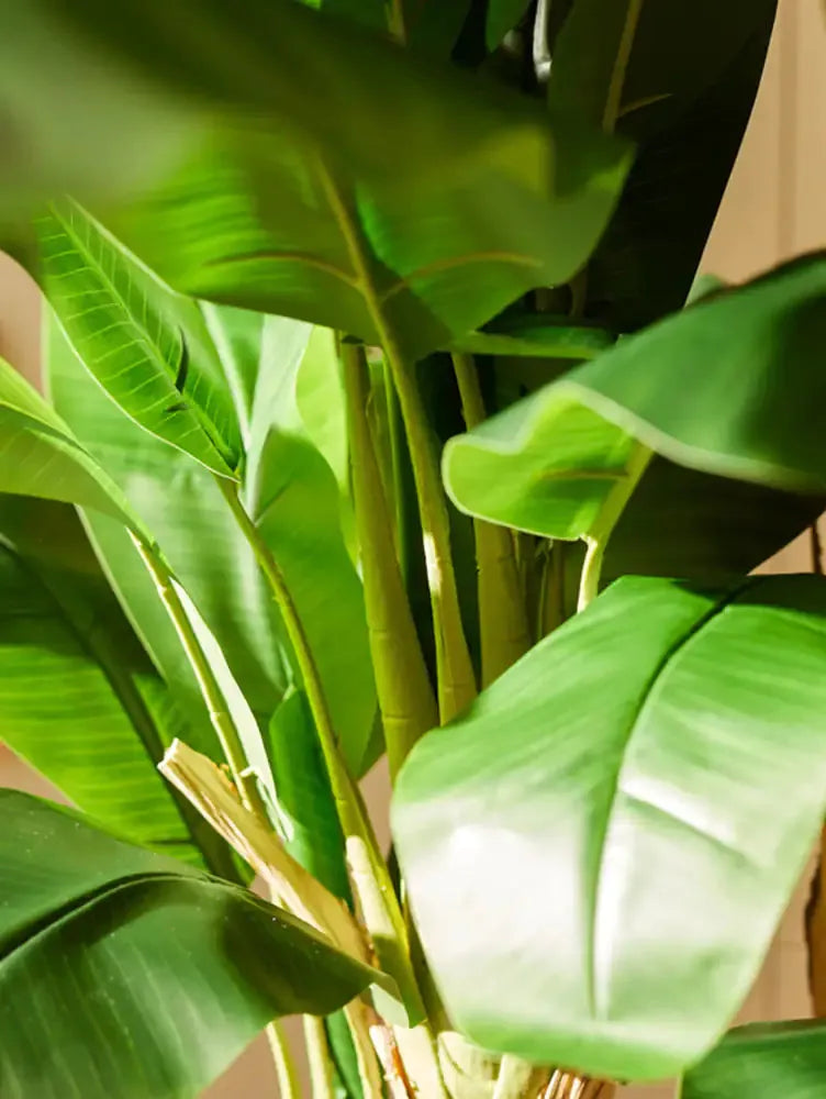 Künstlicher Bananenbaum – Maliora | 210 cm