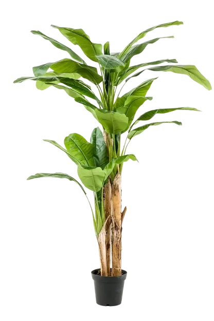 Künstlicher Bananenbaum – Maliora | 210 cm