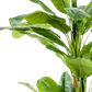 Künstlicher Bananenbaum – Maliora | 210 cm