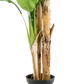 Künstlicher Bananenbaum – Maliora | 210 cm