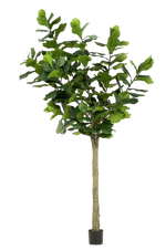 Künstlicher Ficus lyrata - Sandra, 300 cm, Kunstbaum von aplanta, in Grün, für drinnen