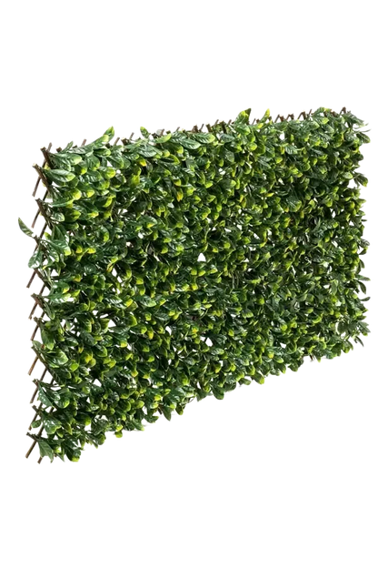 Flexible Prunus Pflanzenwand - Malte | 130-200 cm