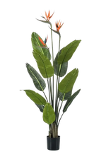 Künstliche Strelitzia - Constantin, 120 cm, Kunstbaum von aplanta, in Grün, für drinnen