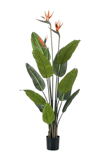Künstliche Strelitzia - Constantin, 120 cm, Kunstbaum von aplanta, in Grün, für drinnen