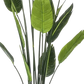 Künstliche Strelitzia - Christian, 150 cm, Kunstbaum von aplanta, in Grün, für drinnen