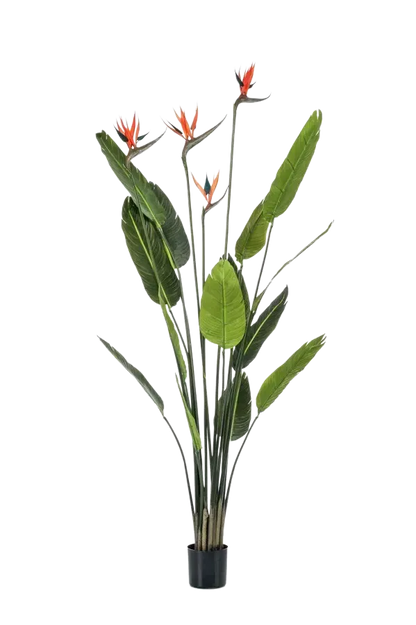 Künstliche Strelitzia - Christian, 150 cm, Kunstbaum von aplanta, in Grün, für drinnen