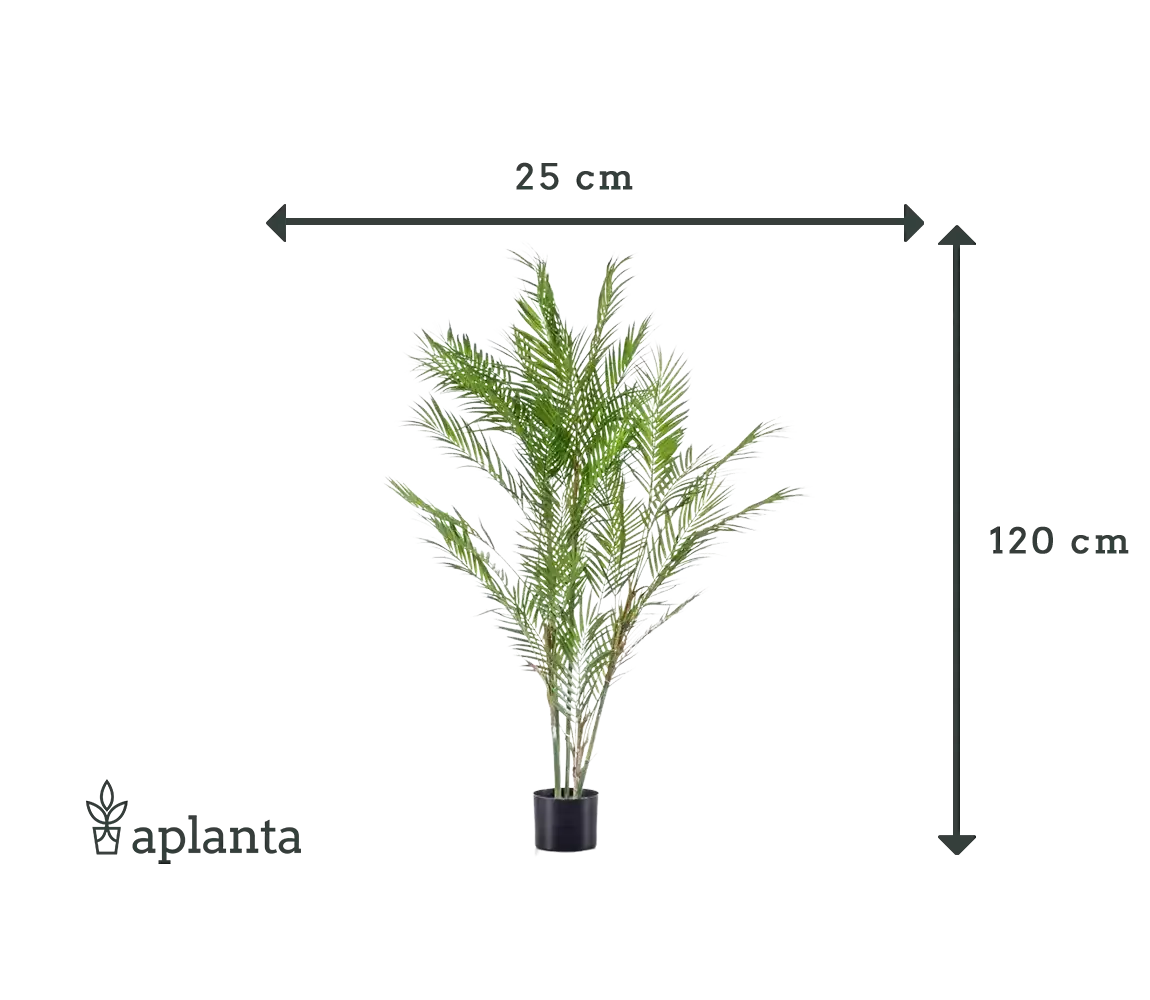 Künstliche Bergpalme - Nadine | 120 cm