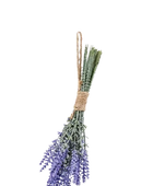 Künstlicher Lavendel Bund - Octan auf transparentem Hintergrund mit echt wirkenden Kunstblättern in natürlicher Anordnung. Künstlicher Lavendel Bund - Octan hat die Farbe Natur und ist 24 cm hoch. | aplanta Kunstpflanzen