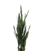 Künstlicher Bogenhanf - Jette auf transparentem Hintergrund mit echt wirkenden Kunstblättern. Diese Kunstpflanze gehört zur Gattung/Familie der "Sansevierias" bzw. "Kunst-Sansevierias".