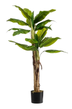 Künstlicher Bananenbaum - Maliora, 140 cm, Kunstpflanze von aplanta, UV-beständig, inkl. Startertopf, in Natur, für drinnen